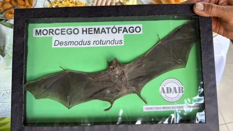 Secretário de Agricultura de Medeiros Neto, Tairo Sales, participa de evento sobre Calendário Vacinal do Rebanho Secretário de Agricultura de Medeiros Neto, Tairo Sales, participa de evento sobre Calendário Vacinal do Rebanho