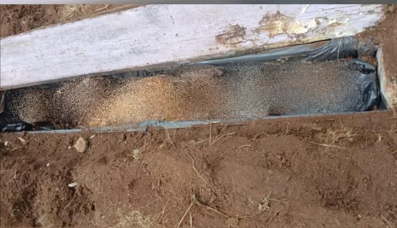 Homem vai fazer horta no quintal e encontra caixão com ossada enterrado Homem vai fazer horta no quintal e encontra caixão com ossada enterrado