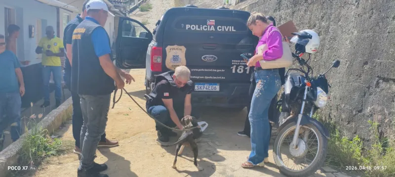 Cadela, vítima de maus-tratos, é resgatada pela Polícia Civil em Medeiros Neto