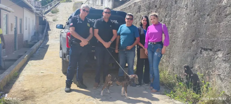 Cadela, vítima de maus-tratos, é resgatada pela Polícia Civil em Medeiros Neto