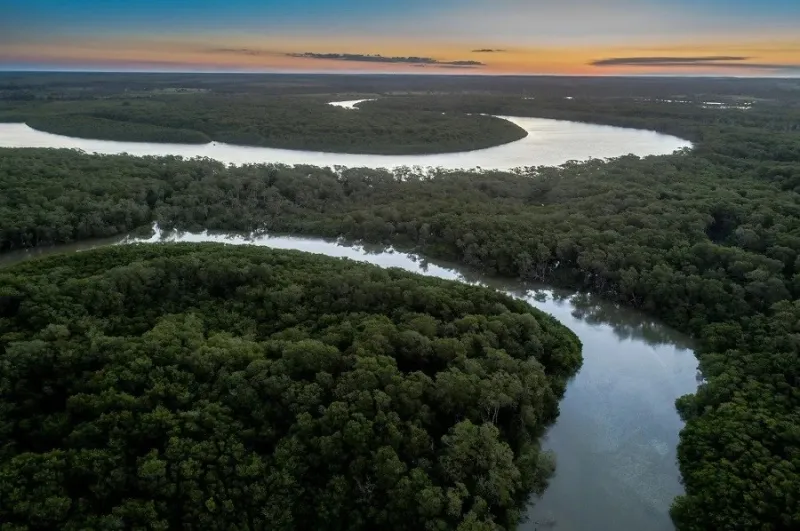 Suzano avança com corredores ecológicos entre a Bahia e o ES
