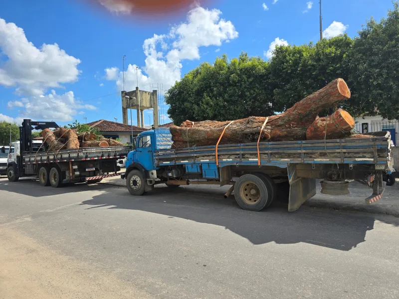 Três homens suspeitos de furto de madeira são presos; dois caminhões e dois motosserras foram apreendidos