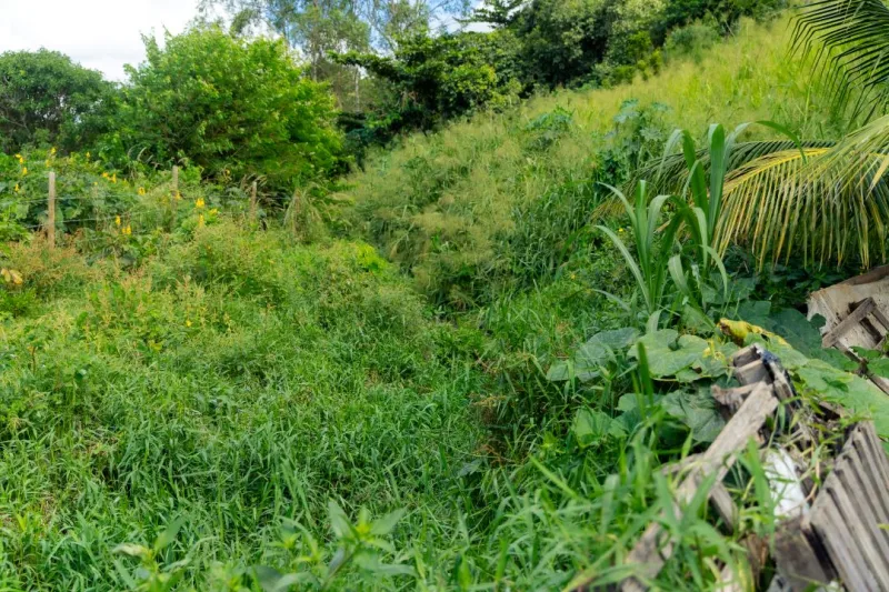 Prefeitura de Ibirapuã autoriza manilhamento do córrego Jacupemba e calçamento da Rua Batista e moradores celebram início das obras