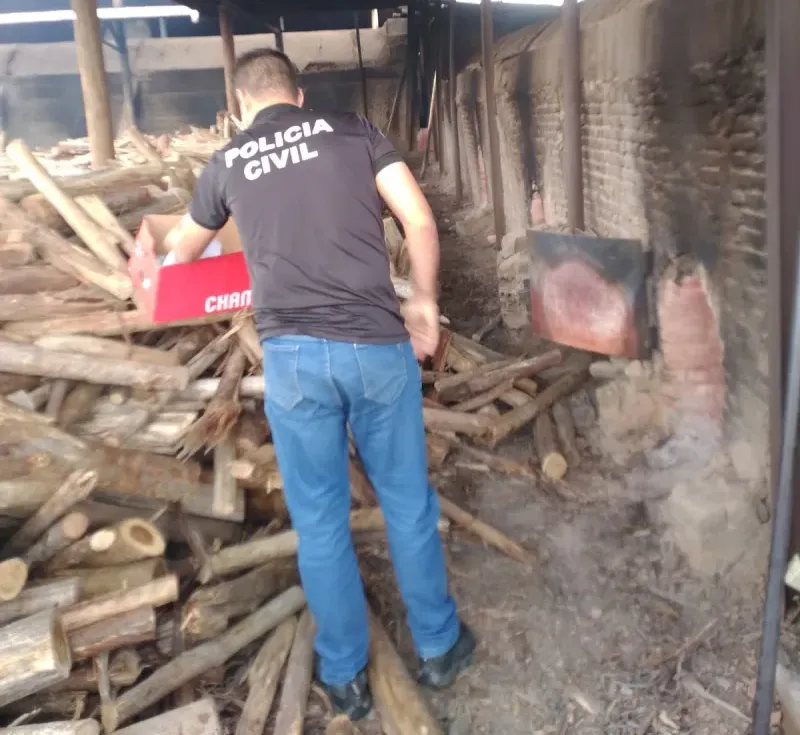 Polícia Civil incinera drogas apreendidas em Prado