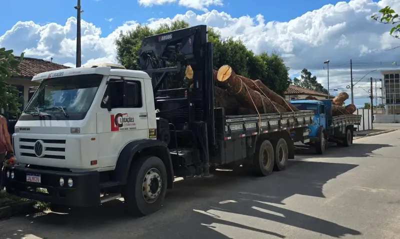 Três homens suspeitos de furto de madeira são presos; dois caminhões e dois motosserras foram apreendidos