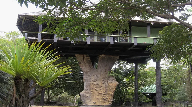 Nova Viçosa - Sítio Natura pode virar parque ecológico dedicado ao legado de Frans Krajcberg