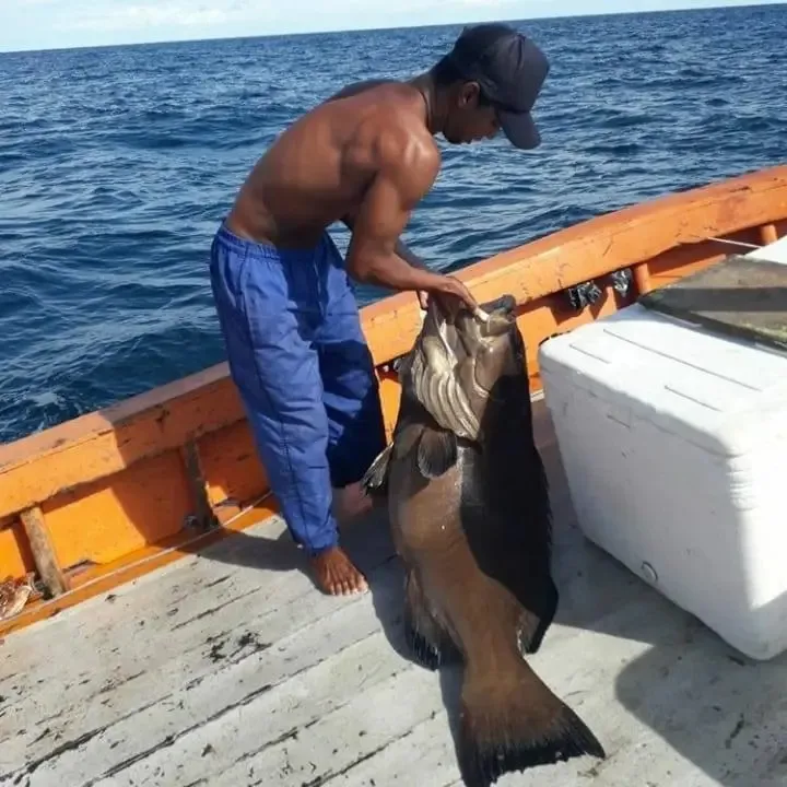 Pescador e tatuador de Alcobaça é encontrado morto no mar em Porto Seguro