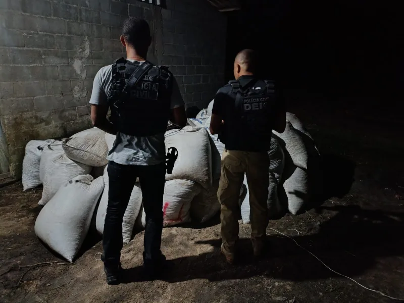 Polícia Civil recupera carga de café avaliada em R$ 50 mil após investigação em Eunápolis