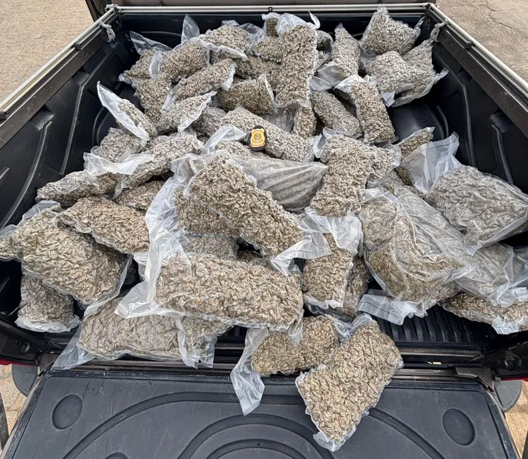 Itabela: PF apreende 102 kg de maconha em carreta e prende motorista