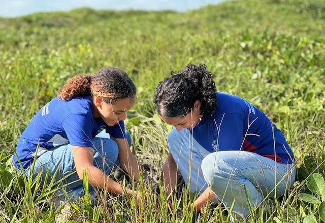 Mucuri abre programação do Junho Verde com ações de educação ambiental e plantio de árvores