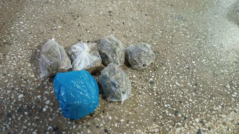 PMBA prende suspeito com maconha em Teixeira de Freitas PMBA prende suspeito com maconha em Teixeira de Freitas