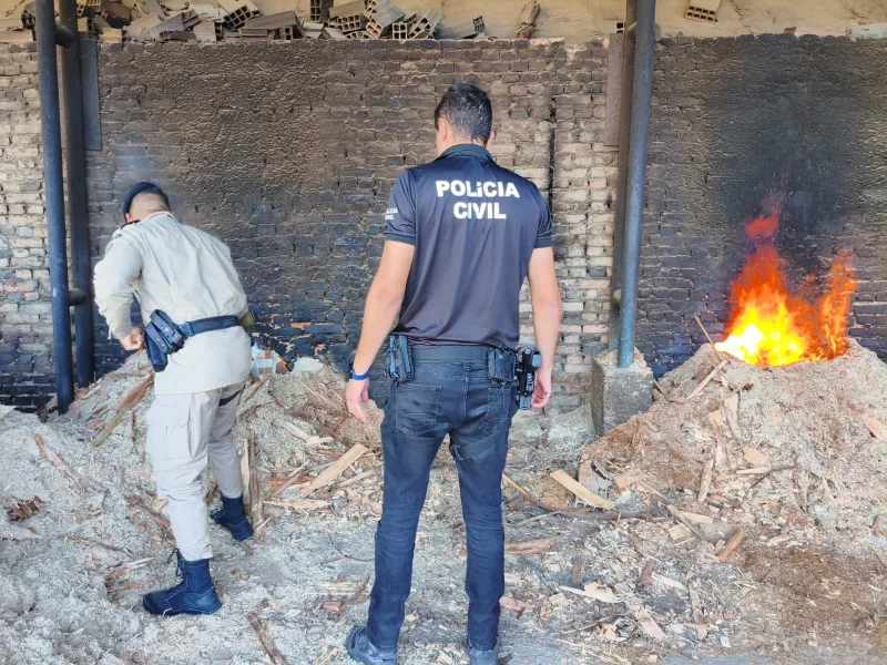 Polícia Civil realiza incineração de mais de 61 quilos de drogas apreendidas em Teixeira de Freitas