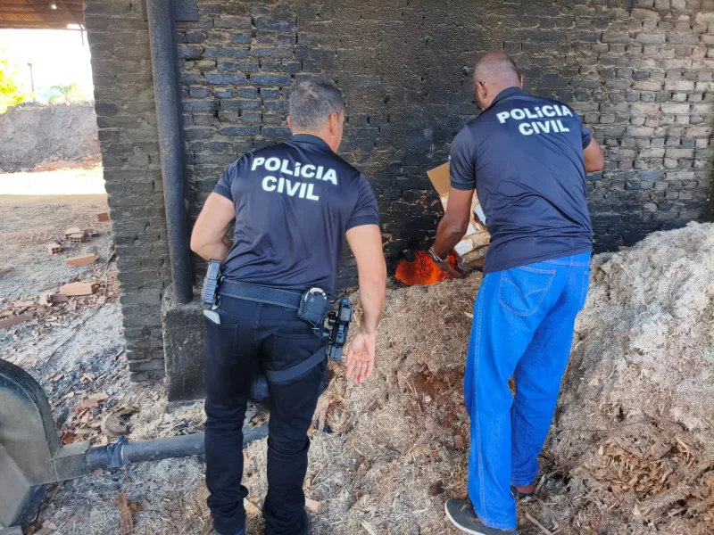 Polícia Civil realiza incineração de mais de 61 quilos de drogas apreendidas em Teixeira de Freitas
