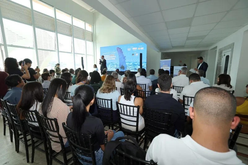 Bahia lança temporada 2026 de observação de baleias-jubarte com capacitação para profissionais do turismo