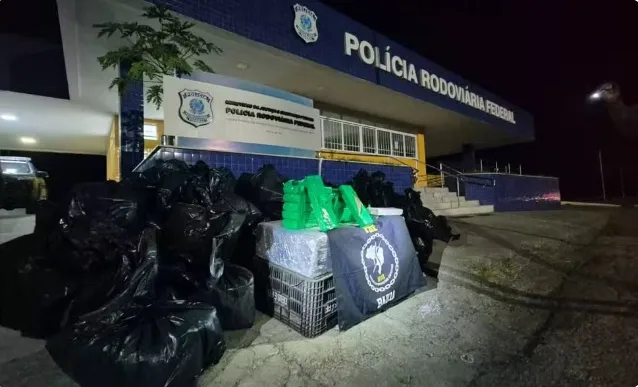 PRF apreende mais de 1,6 tonelada de drogas escondida em carga de hortifrúti na BR-116, na Bahia PRF apreende mais de 1,6 tonelada de drogas escondida em carga de hortifrúti na BR-116, na Bahia