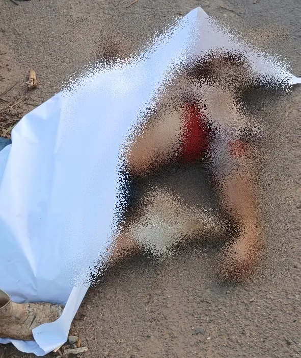 Motociclista morre em acidente envolvendo caminhonete na BR-101, em Mucuri