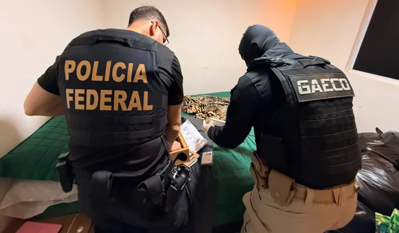 MPBA - Polícia Federal desarticula grupo suspeito de fraudes bancárias e lavagem de dinheiro