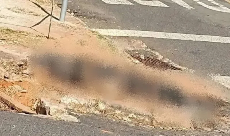 Homem é preso após atear fogo em cachorro da ex-esposa para causar sofrimento psicológico Homem é preso após atear fogo em cachorro da ex-esposa para causar sofrimento psicológico