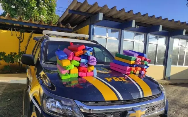 PRF apreende quase 48 kg de maconha em ônibus de turismo na BR-116, na Bahia