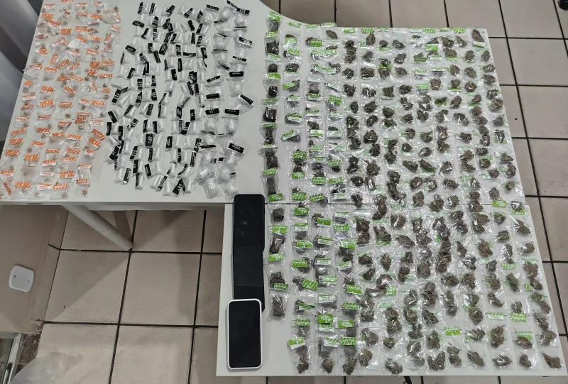 Três adolescentes são apreendidos com mais de 400 porções de drogas em Posto da Mata
