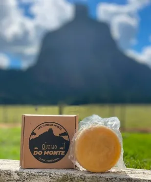 Queijarias do Extremo Sul conquistam o Melhor Queijo da Bahia e nove medalhas no Prêmio Queijo Brasil