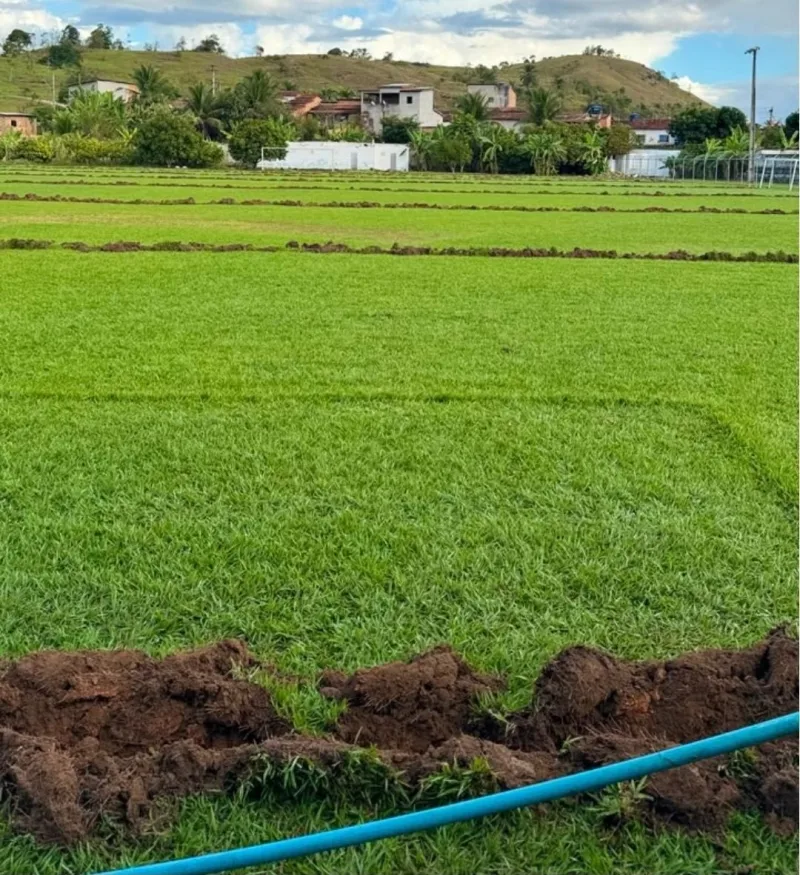 Reforma do Estádio Municipal “O Gobirão” de Vereda avança com instalação de novo sistema de irrigação e alambrado