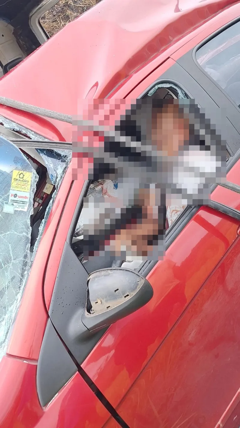    Casal morre após carro bater de frente com caminhão na BA-262, no Sul da Bahia