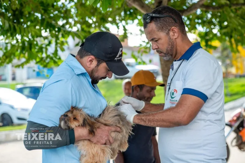 Mais de 10 mil cães e gatos são vacinados durante campanha antirrábica em Teixeira de Freitas