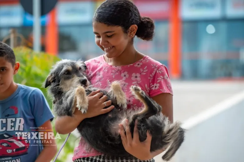Mais de 10 mil cães e gatos são vacinados durante campanha antirrábica em Teixeira de Freitas