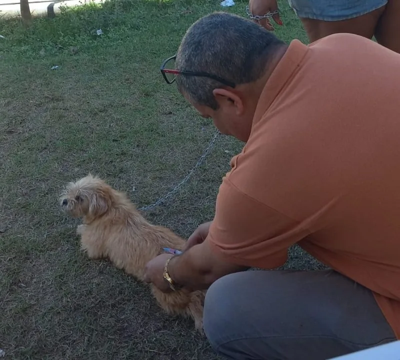 Dia D de Vacinação antirrábica imuniza mais de mil animais em Mucuri e Itabatã