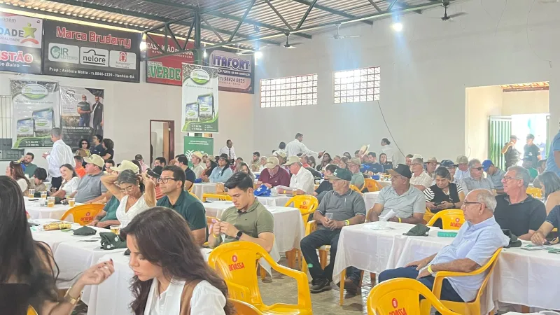 Leilão de gado é destaque da 24ª Exponhém e movimenta mais de R$ 2 milhões