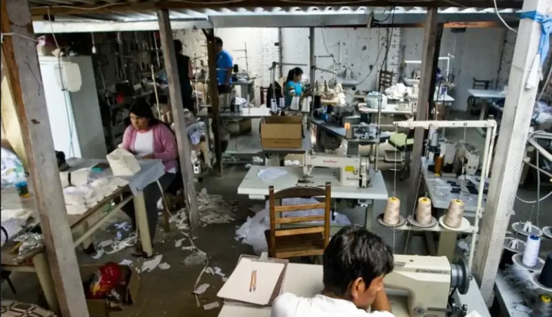 Minas Gerais resgata mais de 5,6 mil trabalhadores de condições análogas à escravidão em 13 anos