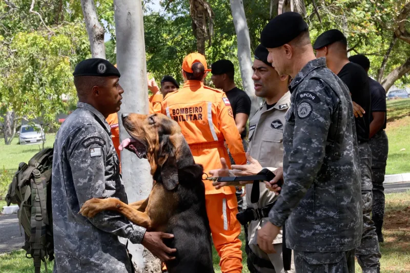  Policiais militares são capacitados para conduzir cães em buscas por pessoas desaparecidas