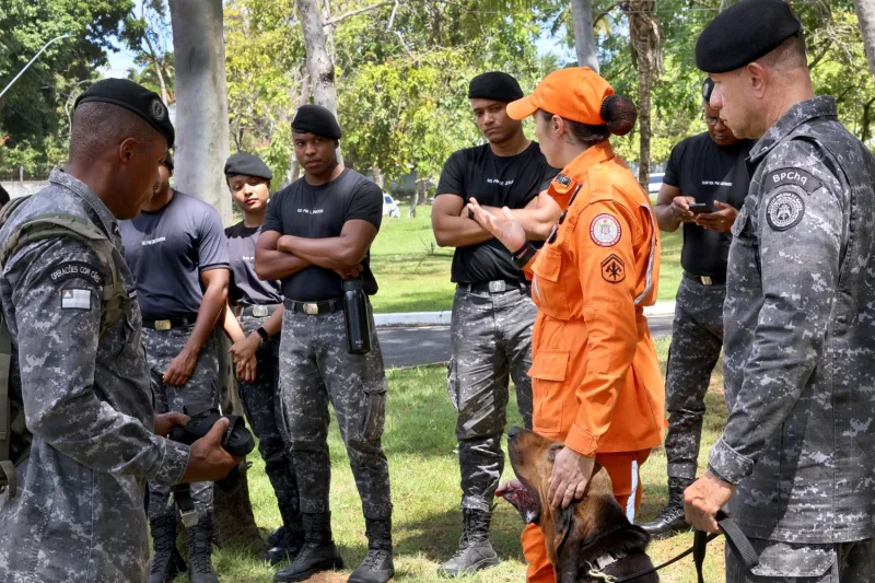  Policiais militares são capacitados para conduzir cães em buscas por pessoas desaparecidas