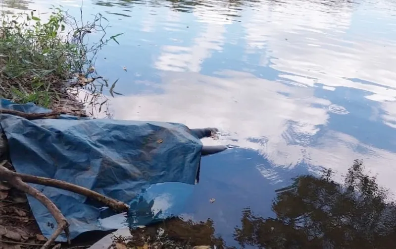 Corpo de homem é encontrado às margens de Rio em propriedade rural nos fundos da Suzano, em Mucuri