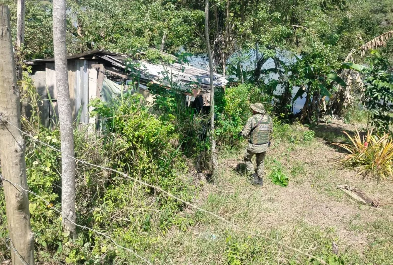 Caçadores fogem antes da chegada da polícia, mas deixam armas e munições para trás em Floresta Azul Caçadores fogem antes da chegada da polícia, mas deixam armas e munições para trás em Floresta Azul