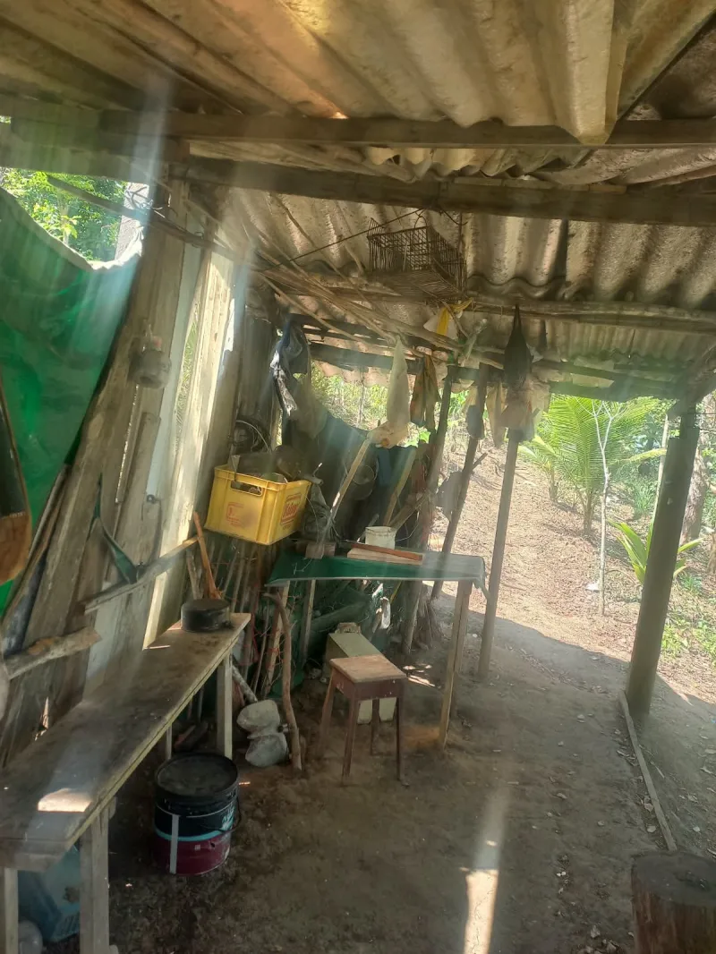 Caçadores fogem antes da chegada da polícia, mas deixam armas e munições para trás em Floresta Azul Caçadores fogem antes da chegada da polícia, mas deixam armas e munições para trás em Floresta Azul