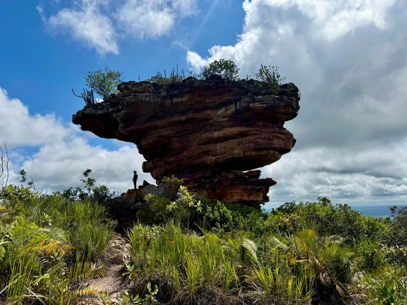 Refúgio de Vida Silvestre Serra da Chapadinha é criado na Chapada Diamantina