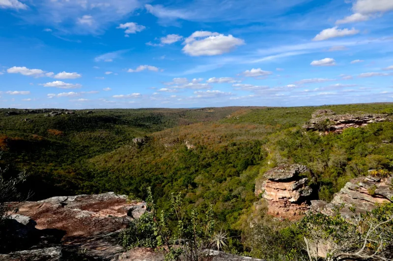 Refúgio de Vida Silvestre Serra da Chapadinha é criado na Chapada Diamantina