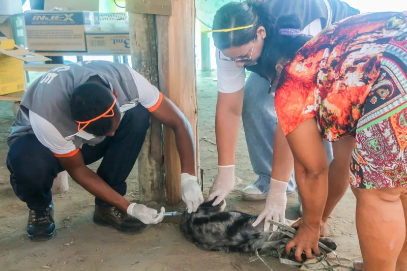Ação de vacinação antirrábica atende cães e gatos em comunidades de Alcobaça