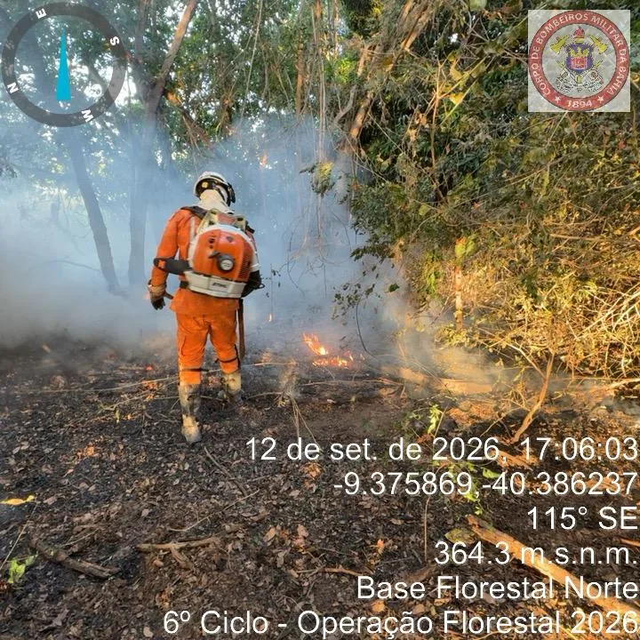 Estado da Bahia intensifica combate a incêndio florestal e protege comunidades no Norte baiano