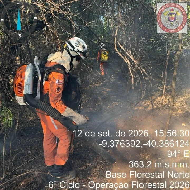 Estado da Bahia intensifica combate a incêndio florestal e protege comunidades no Norte baiano