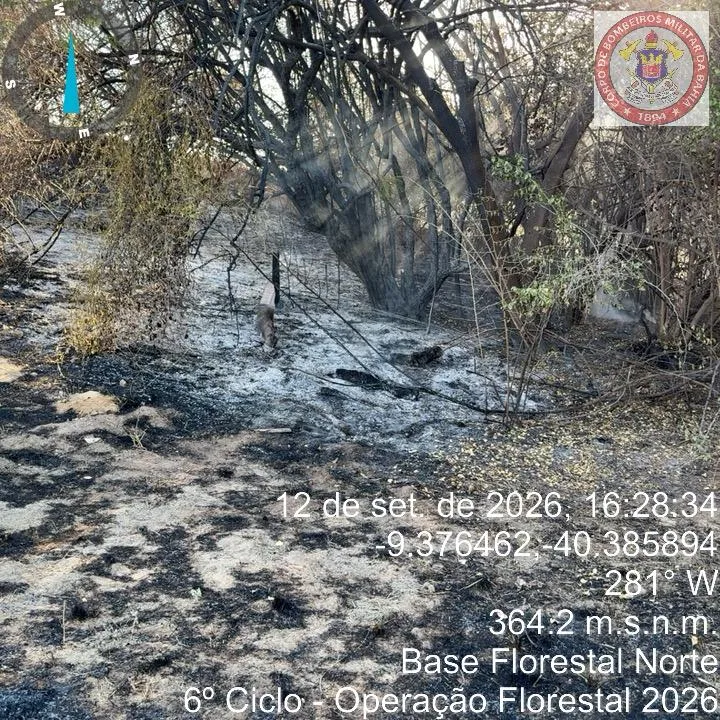 Estado da Bahia intensifica combate a incêndio florestal e protege comunidades no Norte baiano