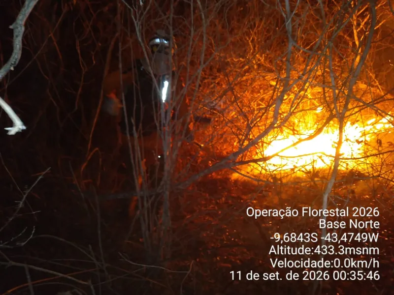 Estado da Bahia intensifica combate a incêndio florestal e protege comunidades no Norte baiano