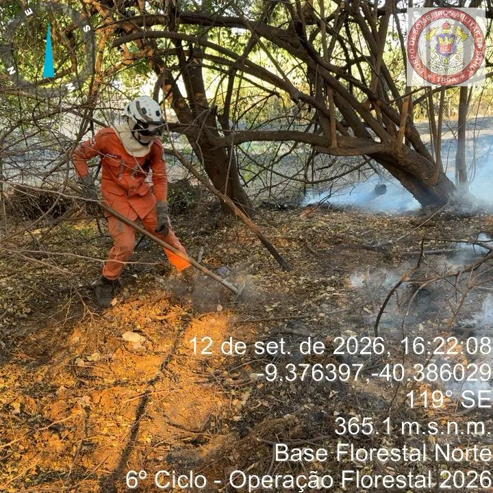 Estado da Bahia intensifica combate a incêndio florestal e protege comunidades no Norte baiano