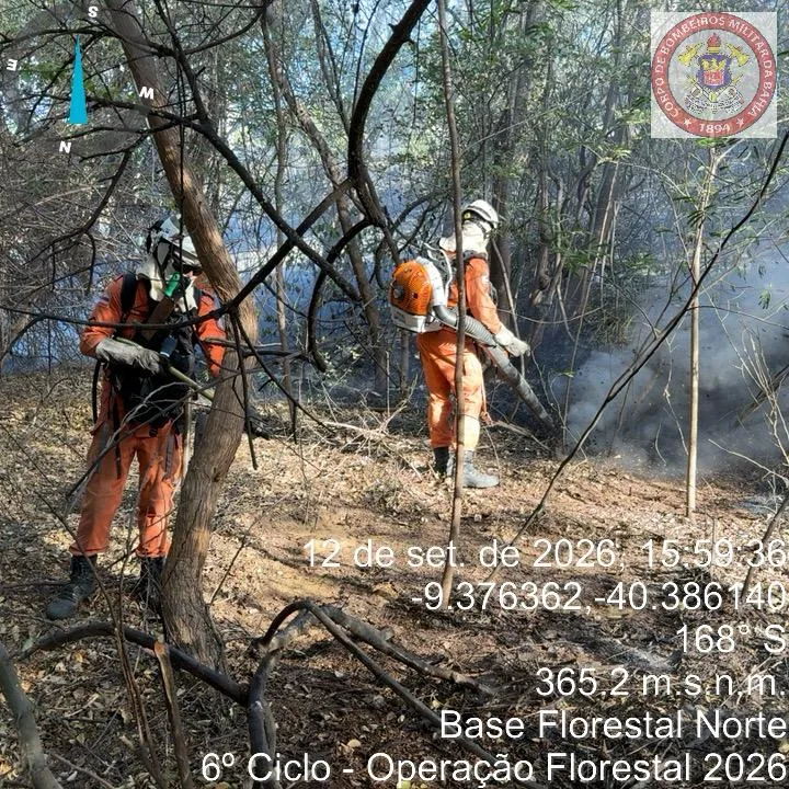 Estado da Bahia intensifica combate a incêndio florestal e protege comunidades no Norte baiano
