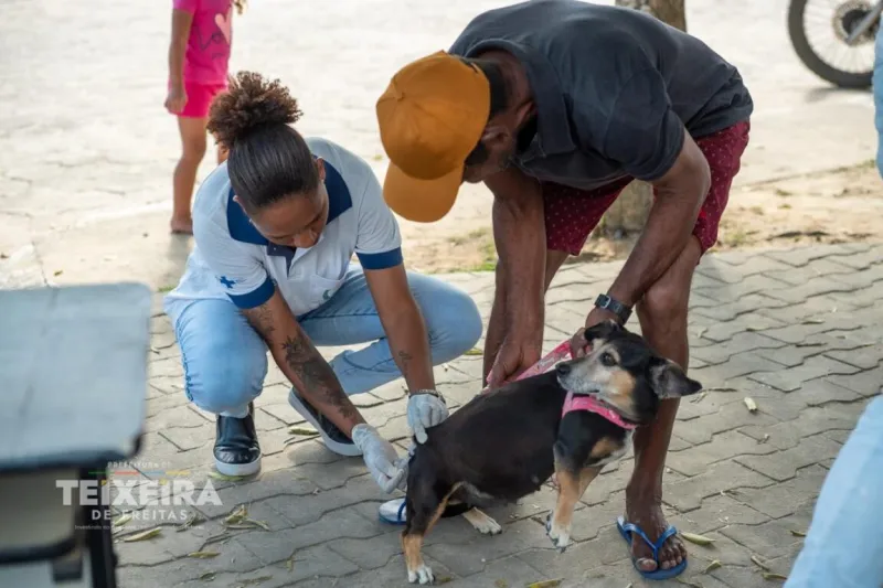 Proteção e Responsabilidade: Teixeira intensifica Vacinação Antirrábica e reforça que o cuidado é um trabalho conjunto Proteção e Responsabilidade: Teixeira intensifica Vacinação Antirrábica e reforça que o cuidado é um trabalho conjunto