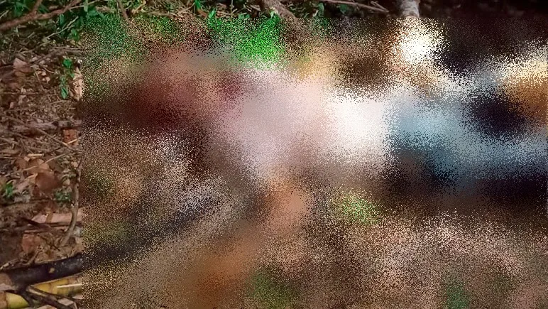 Idoso de 73 anos é morto a golpes de facão na zona rural de Jucuruçu