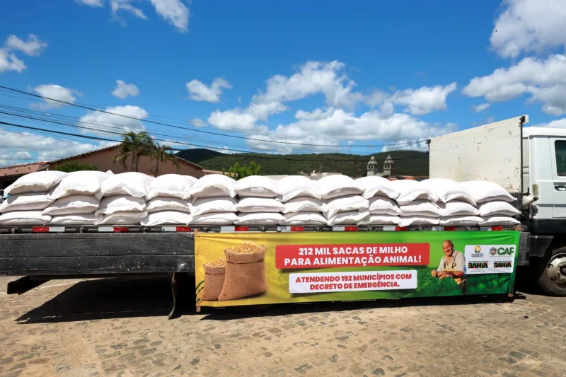 Bahia articula apoio federal para enfrentar efeitos do El Niño