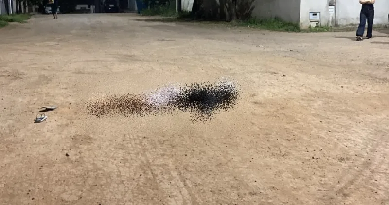 Filma aqui Vitor! Filho de Ailton Pinturas é vítima de homicídio em Aracruz, no Espírito Santo
